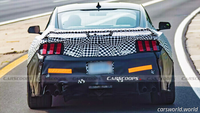 This New Ford Appears Ready to Devour Every GT500 Ahead of It | Carscoops